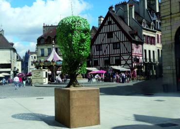 Dijon Bourgogne Tourisme & Congrès