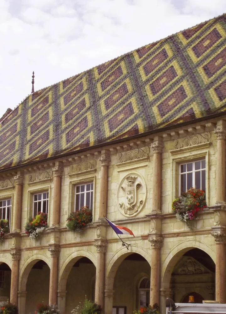 Toit de l'hôtel de ville de Gray