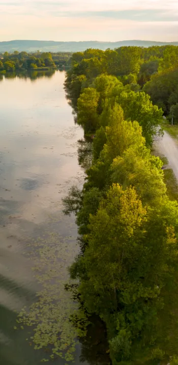Paysage naturel des bords de Saône - Ain