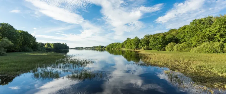Le lac de Bouzey