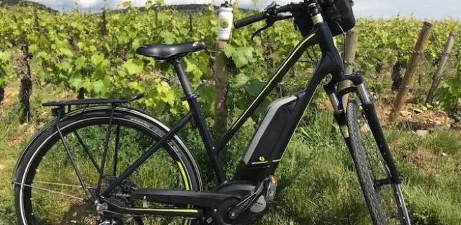 Bourgogne Randonnées