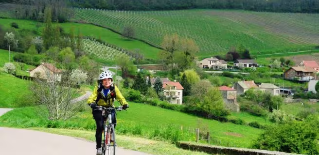 Bike and Wine Tours by Active Tours