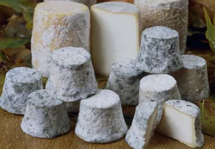 Spotlight on: Vélo & Fromage (Cheese and Cycling) trails along La Voie Bleue